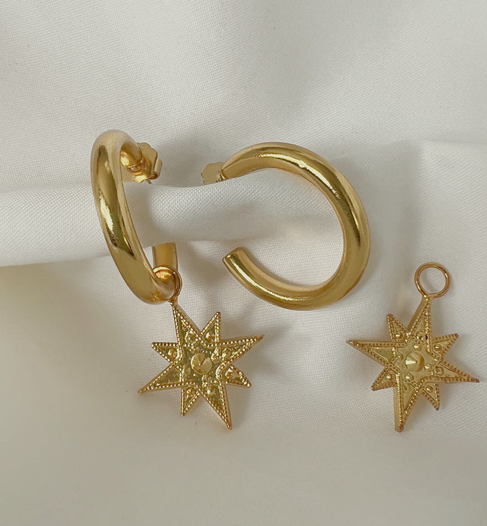 Aro Cassini charms