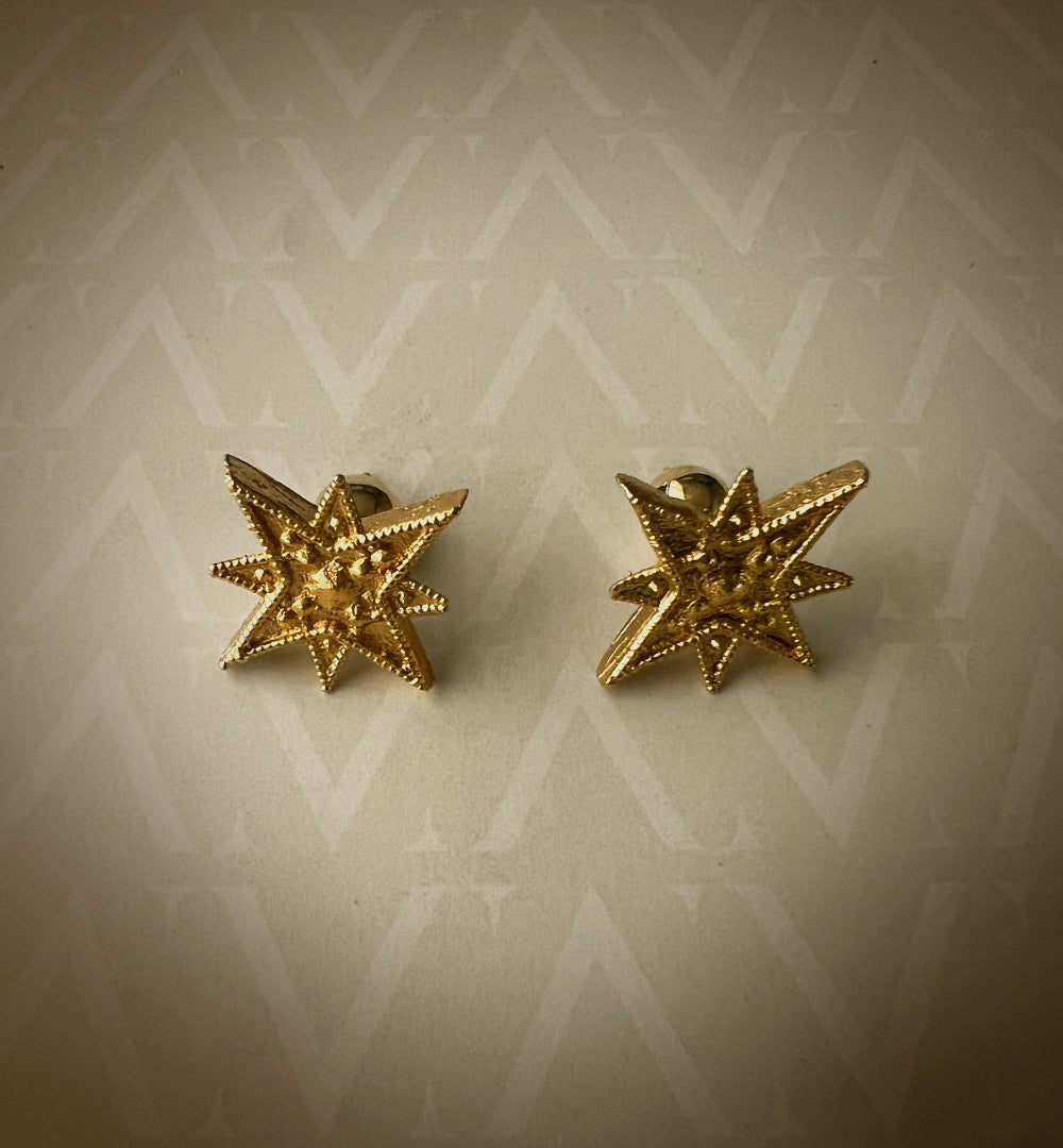 Topo electra